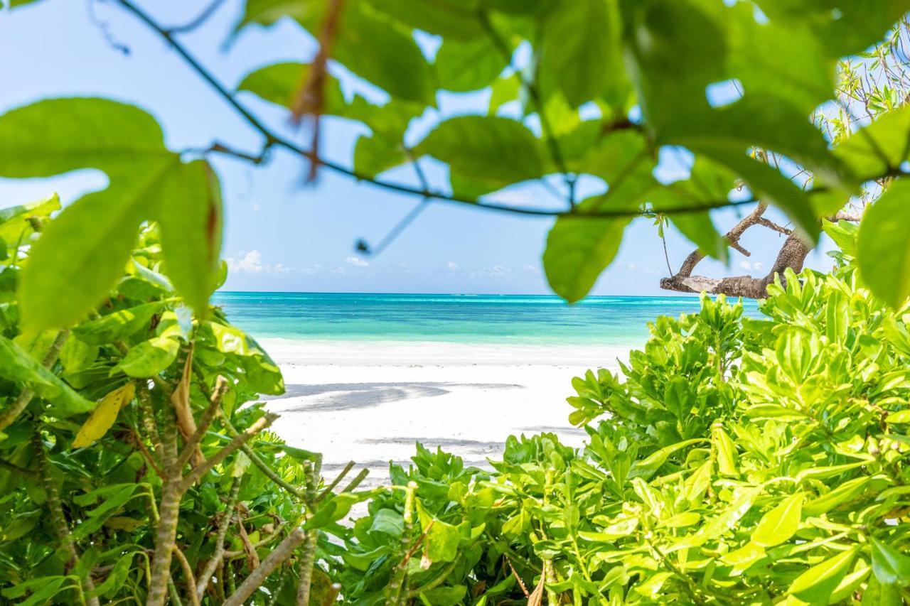 Surfescape Zanzibar Apartment Kiwengwa  ภายนอก รูปภาพ